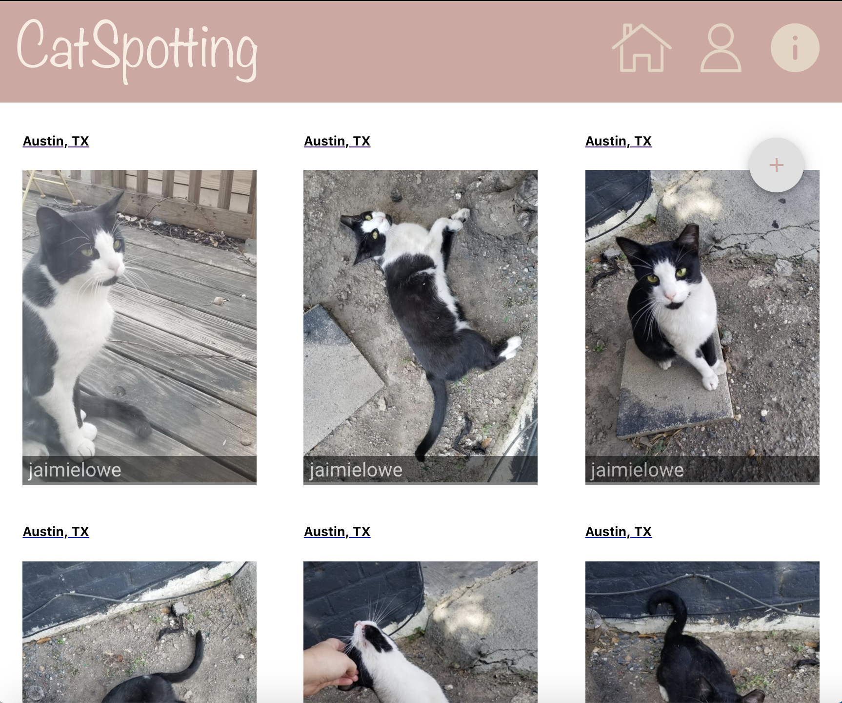 Catspotting app screenshot